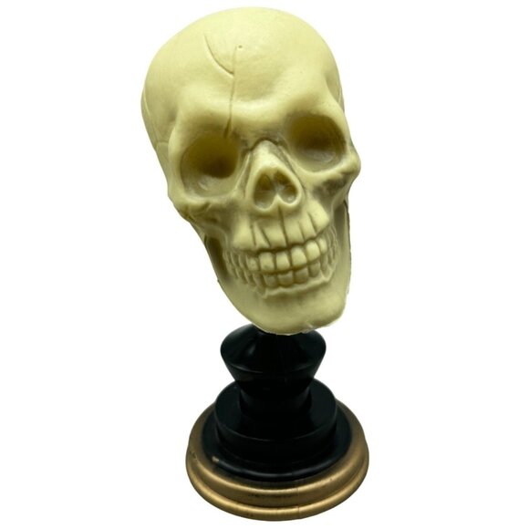 Halloween Skull spine prop decor figure scary head 8" white black READ - Picture 1 of 5